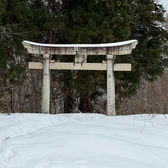 今年は☃️少ないようです⛩️
