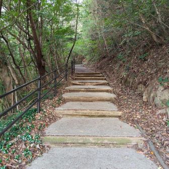 コンクリート舗装の階段を登ります。