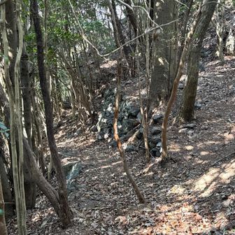 石垣みたいな物発見💡