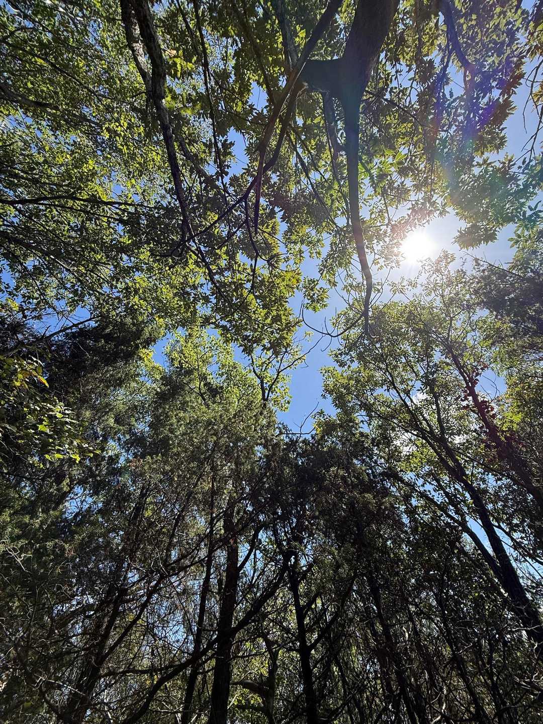 お天気☀️