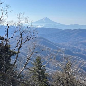以前は見えなかった富士山が山頂から見えるようになっていた。誰かが障害となっていた木を切ったのかな？