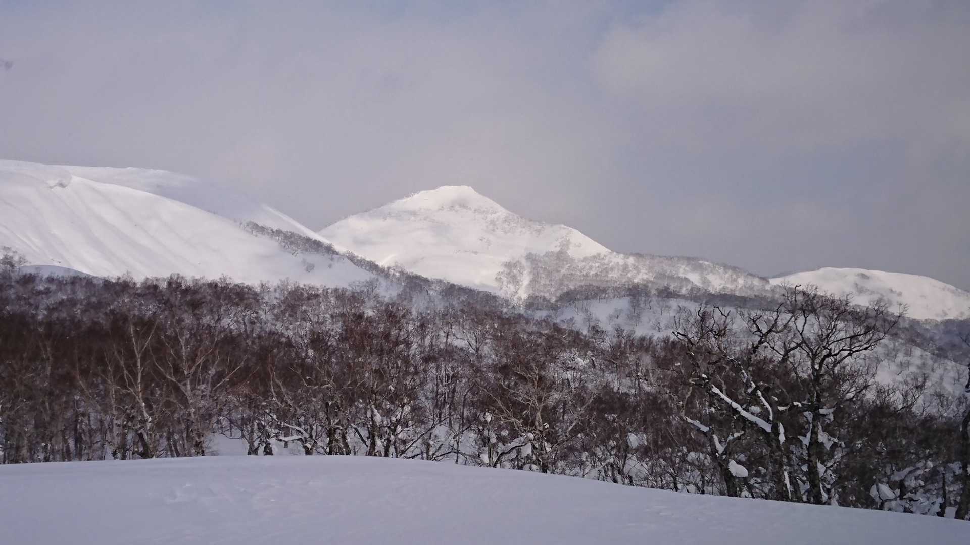 ｱｯﾌﾟでどうぞ