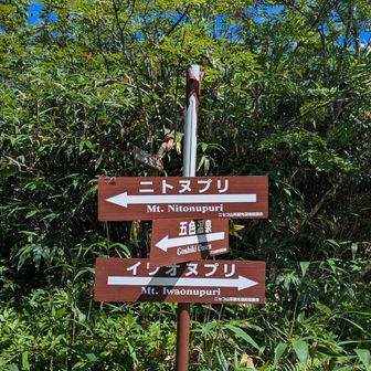 まずはニトヌプリへ。