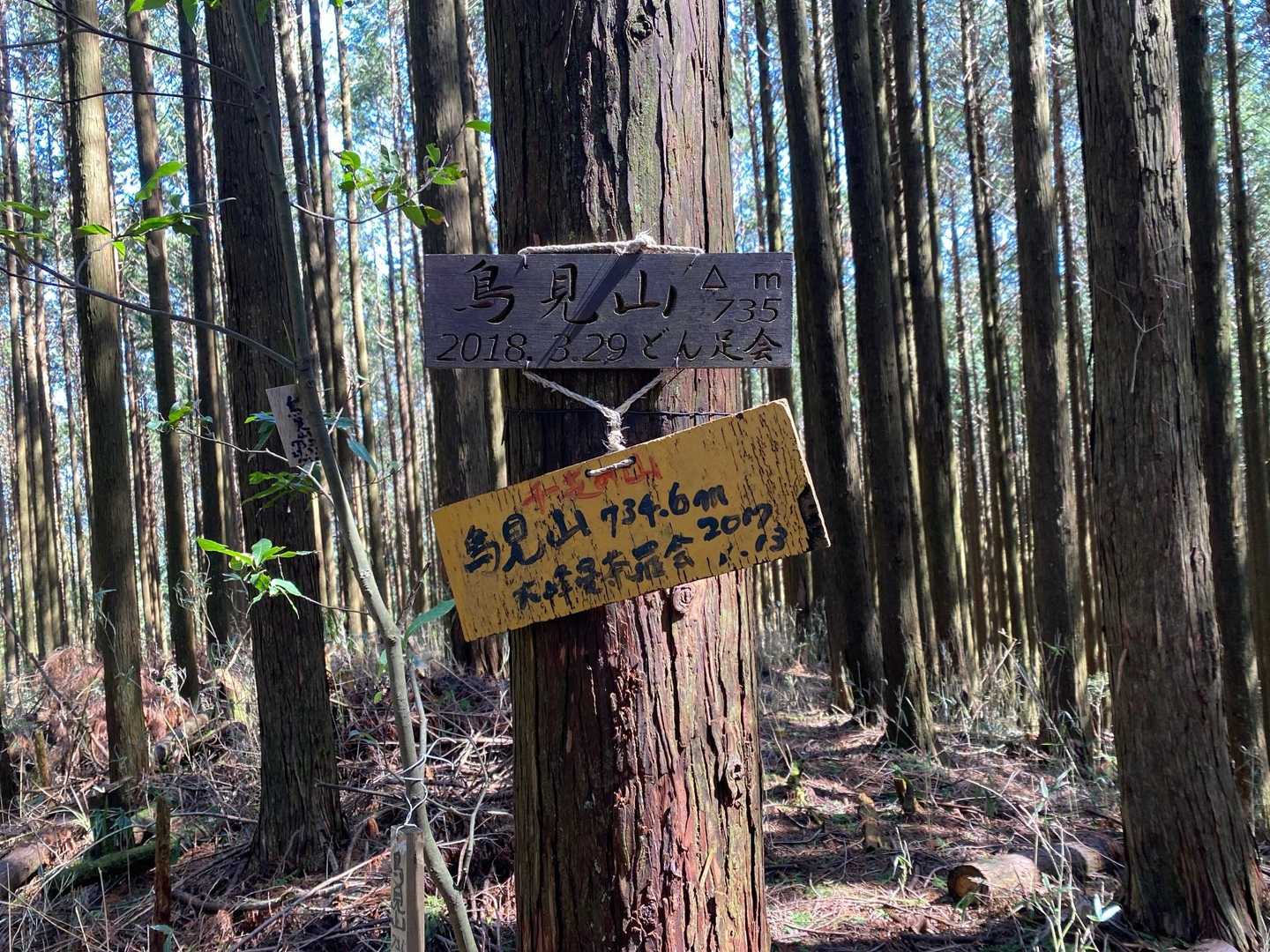 なんとなく来た山頂⛰️用はないから、すぐ下りる