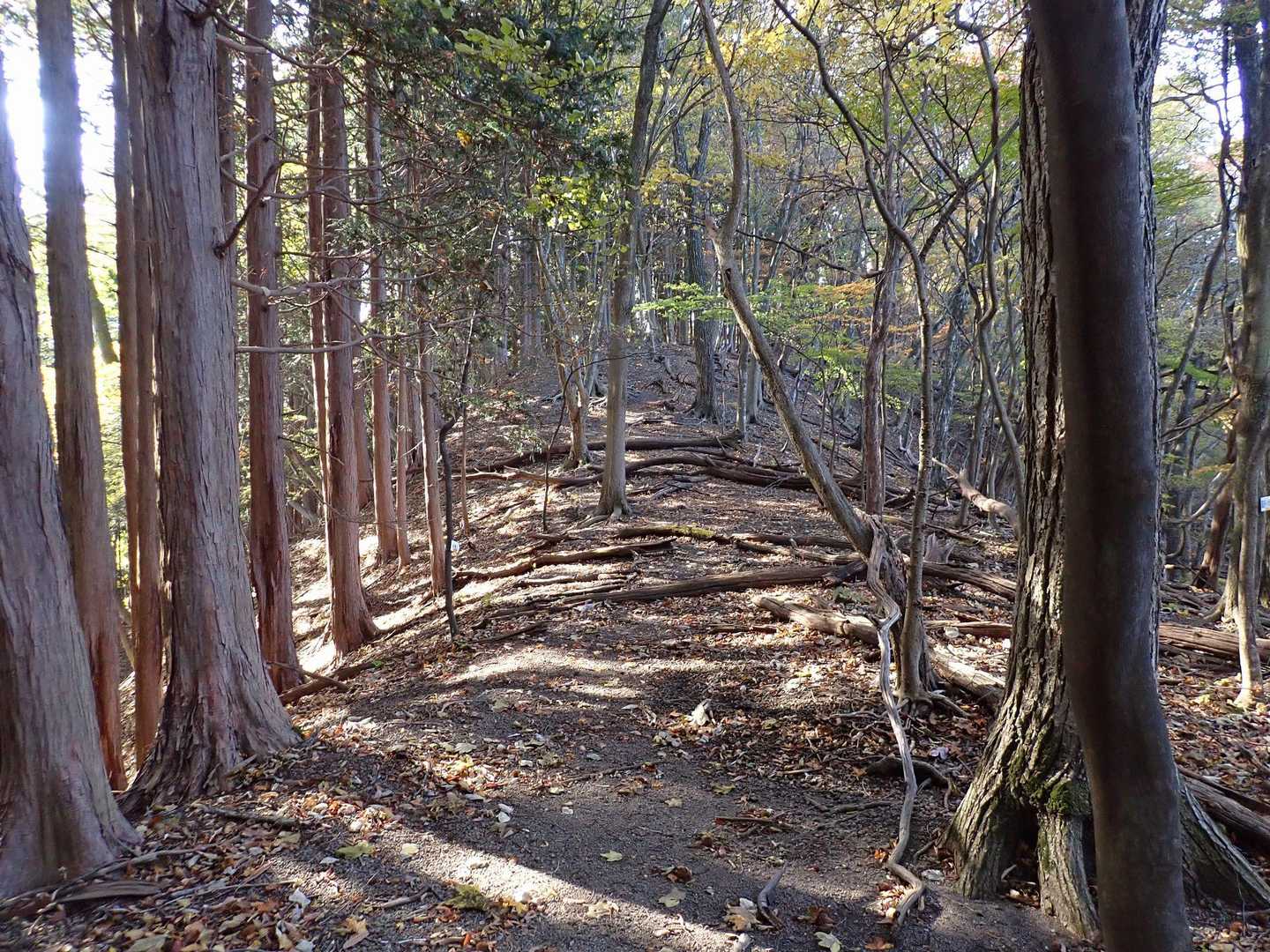 谷急山に向けて出発！