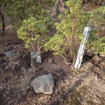 遠笠山の山頂標識が見あたらないので三角点にタッチ