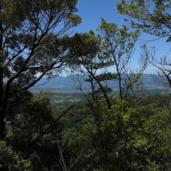 樹林帯を登りますが、時折展望がひらけます。
向こうは、鈴鹿セブンの藤原岳と竜ヶ岳