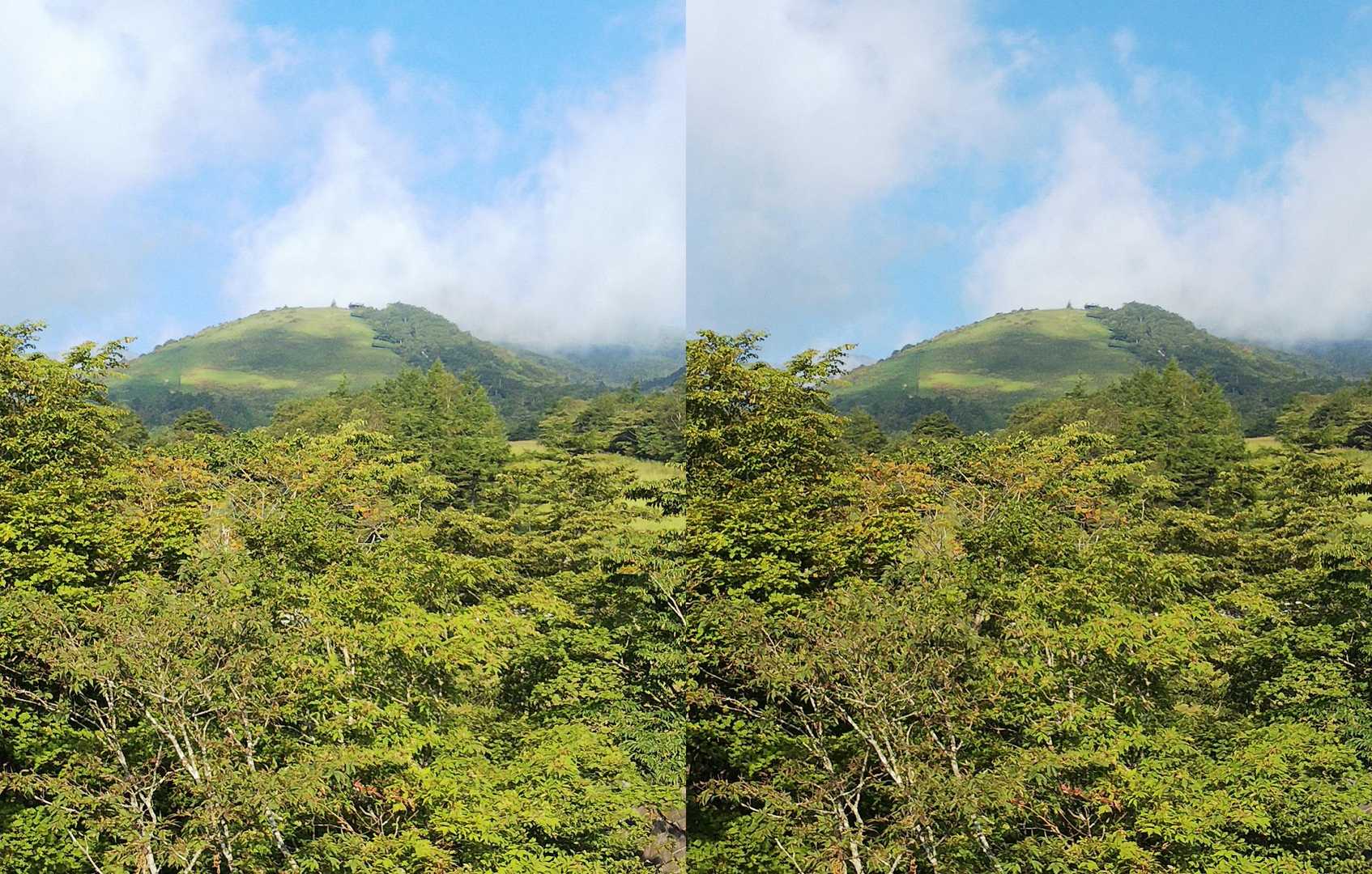 小丸山って下から見ると確かに山だな