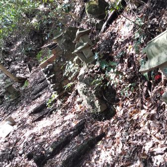 荒れた石段 364段！
登り返します😤