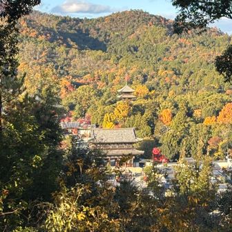 京都っぽい景色