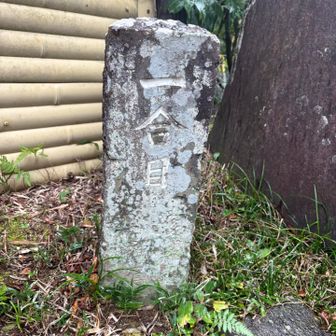 荒幡浅間神社に移動してきて⛩️
富士塚へ登る🗻
合目石がある🪨

明治時代に造られた人工の富士山（富士塚）です。