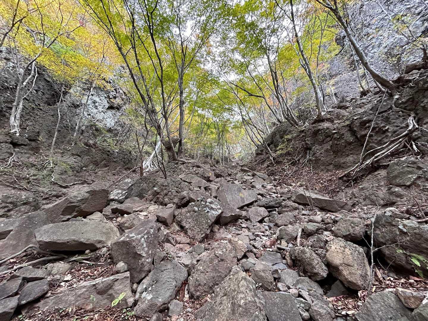 東登山口-コル-高岩-西登山口 縦走コースの写真