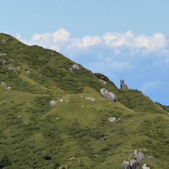 奇岩たちも拡大すれば確認できる🔍