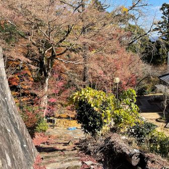 下りてきて、境内の紅葉
