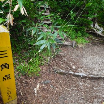 よくみる案内標😌
そして4番