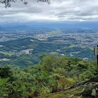 山頂は広い
