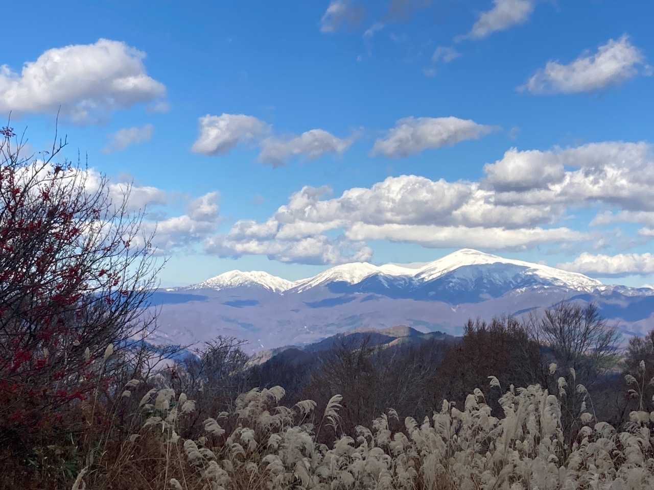 大頭森山頂上⛰からの眺望
三役揃い踏み　再び👍