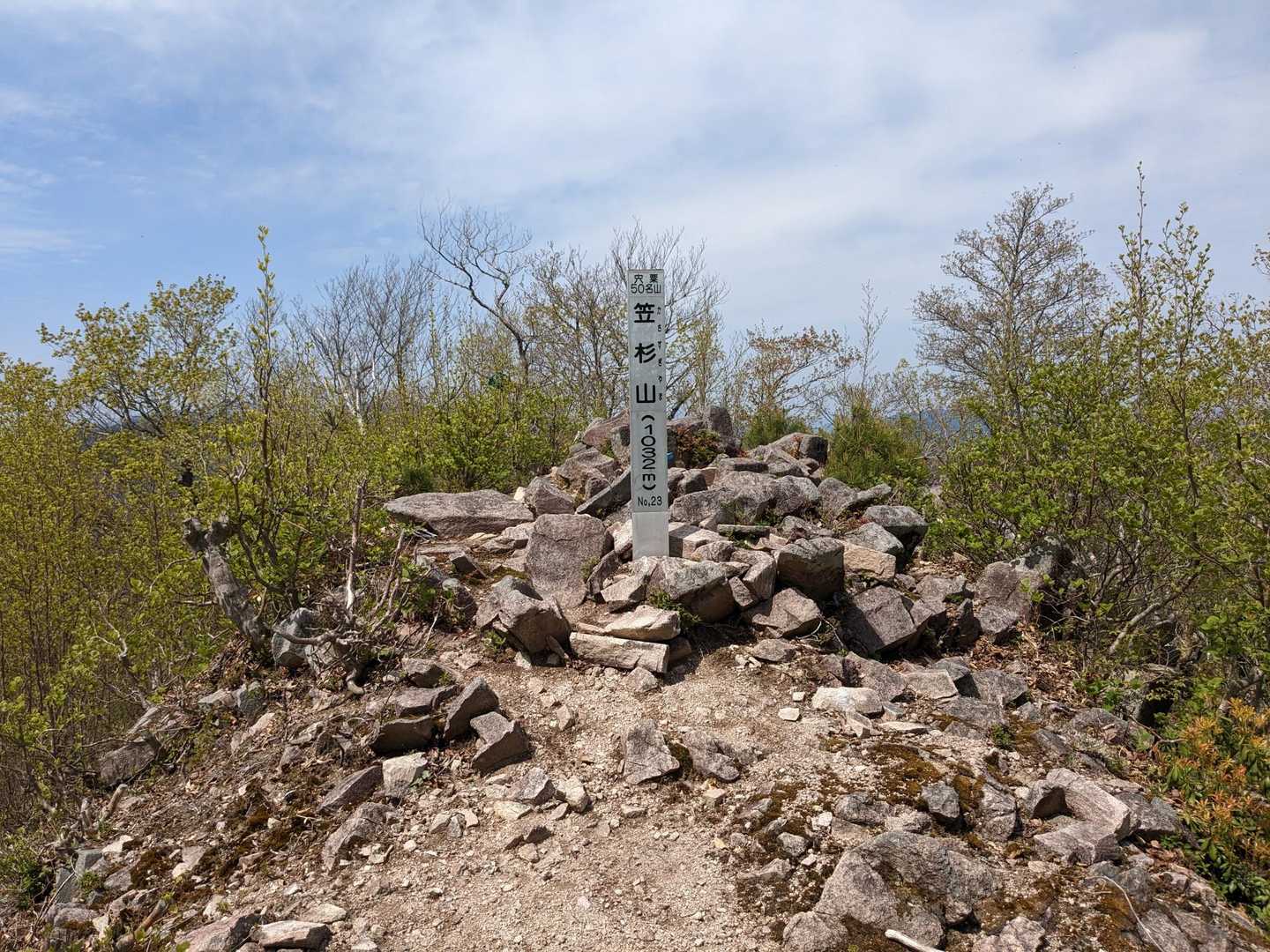 笠杉山