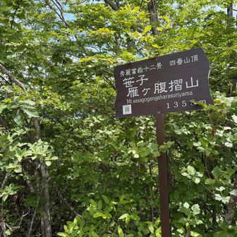 笹子雁ヶ腹摺山の山頂に到着！