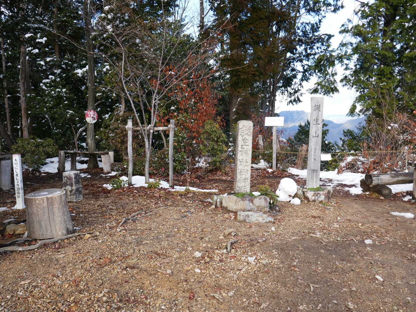山頂の雪はほぼ解けていました。
