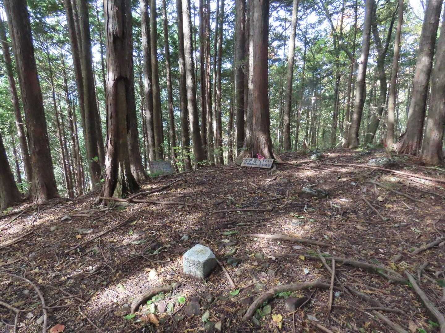 休憩を終えて、再び火戸尻山頂上です。