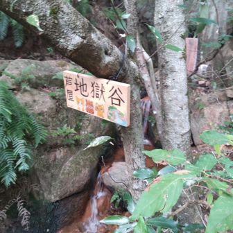 可愛い