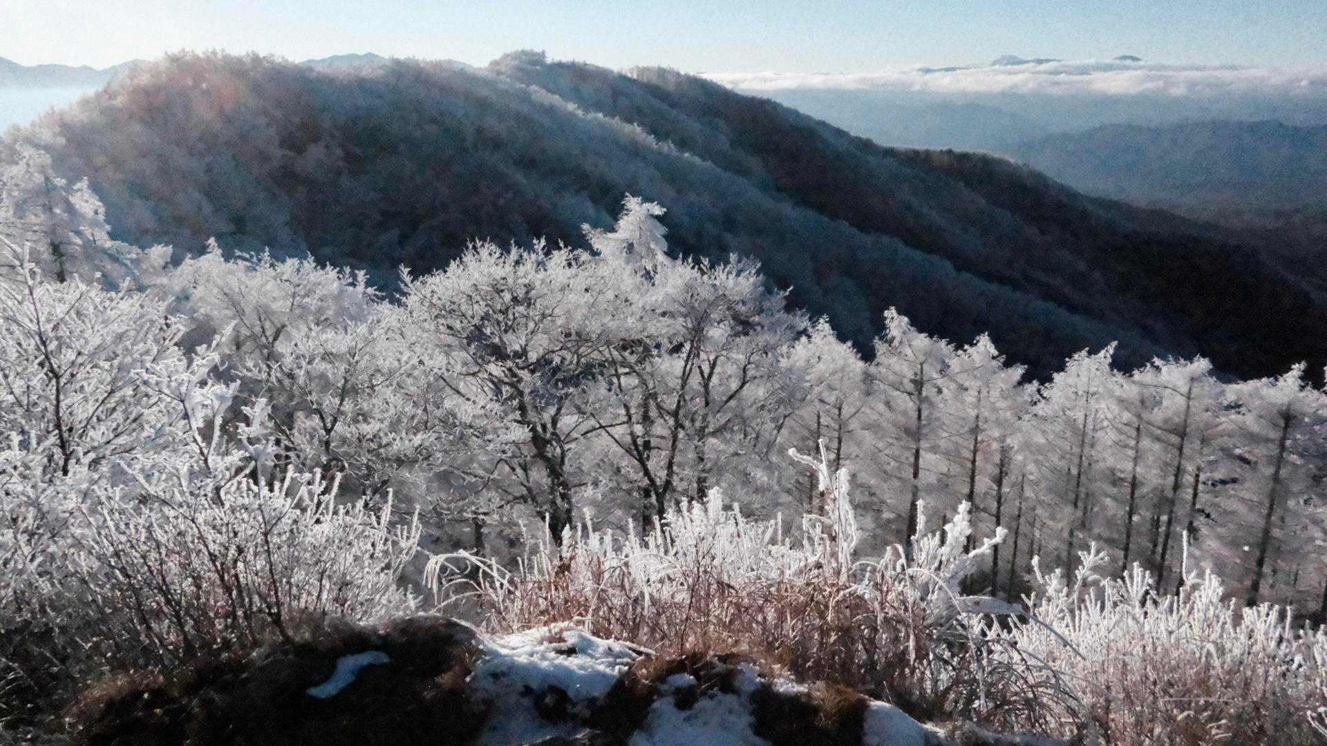 今日は西峰はやめときましょう(-5℃と寒い🥶)