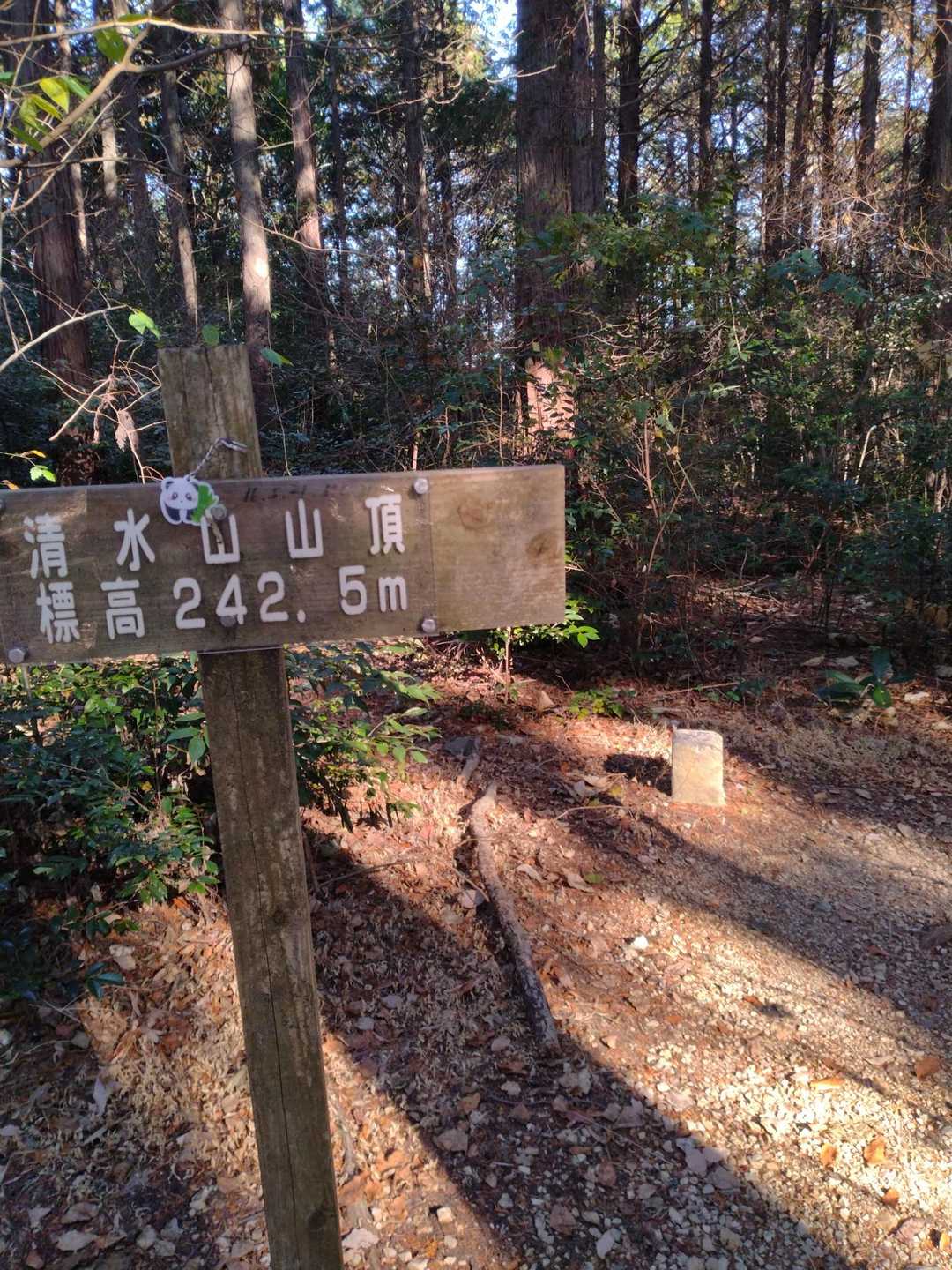 清水山山頂＆三等三角点「清水山」242.21m
今回唯一のベンチがあります。