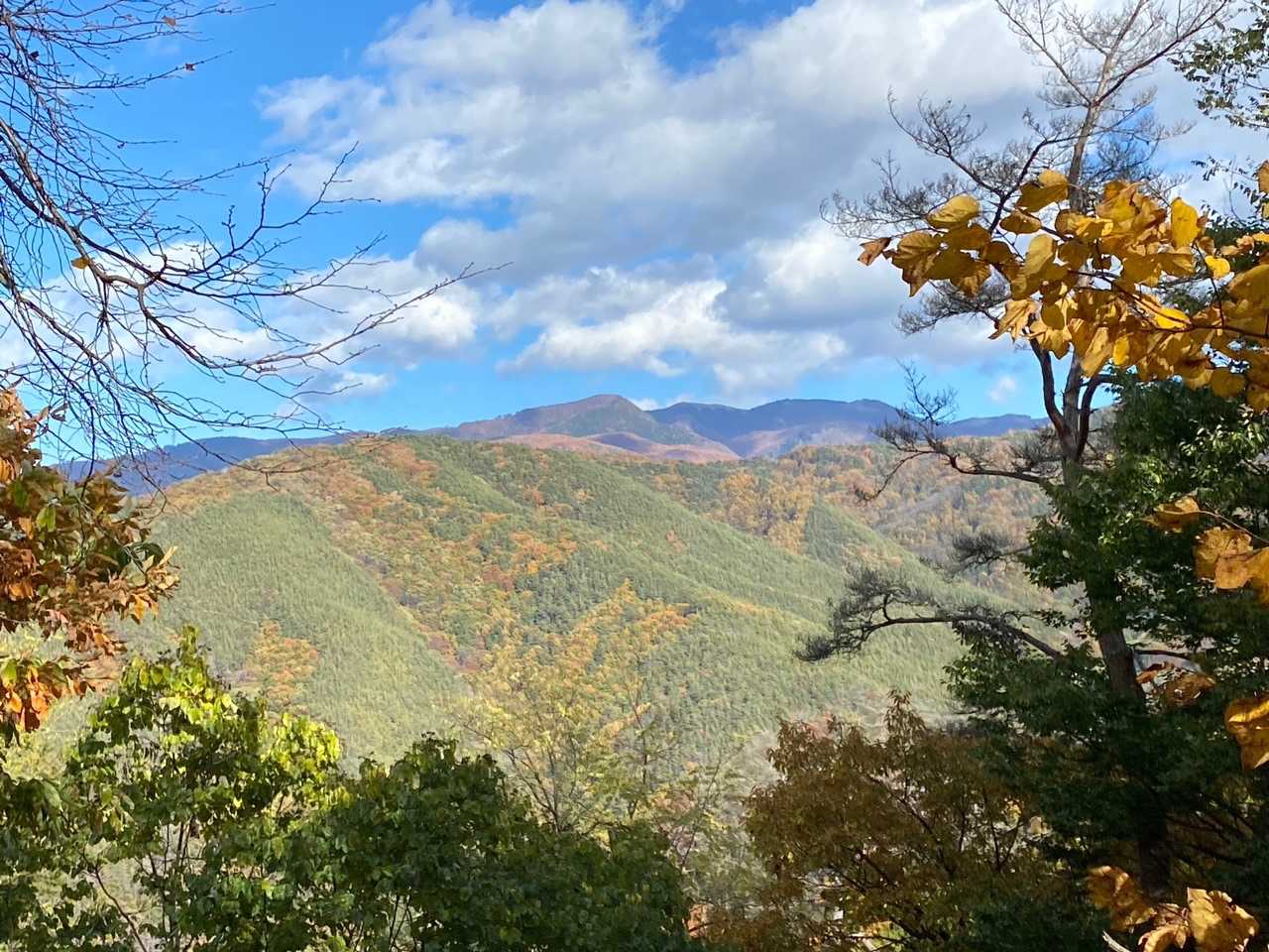 中山 往復コースの写真