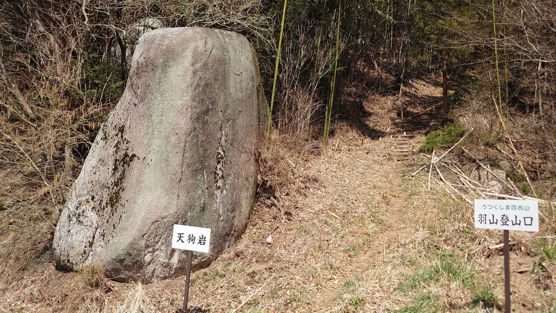 👺岩からリスターティン🍎