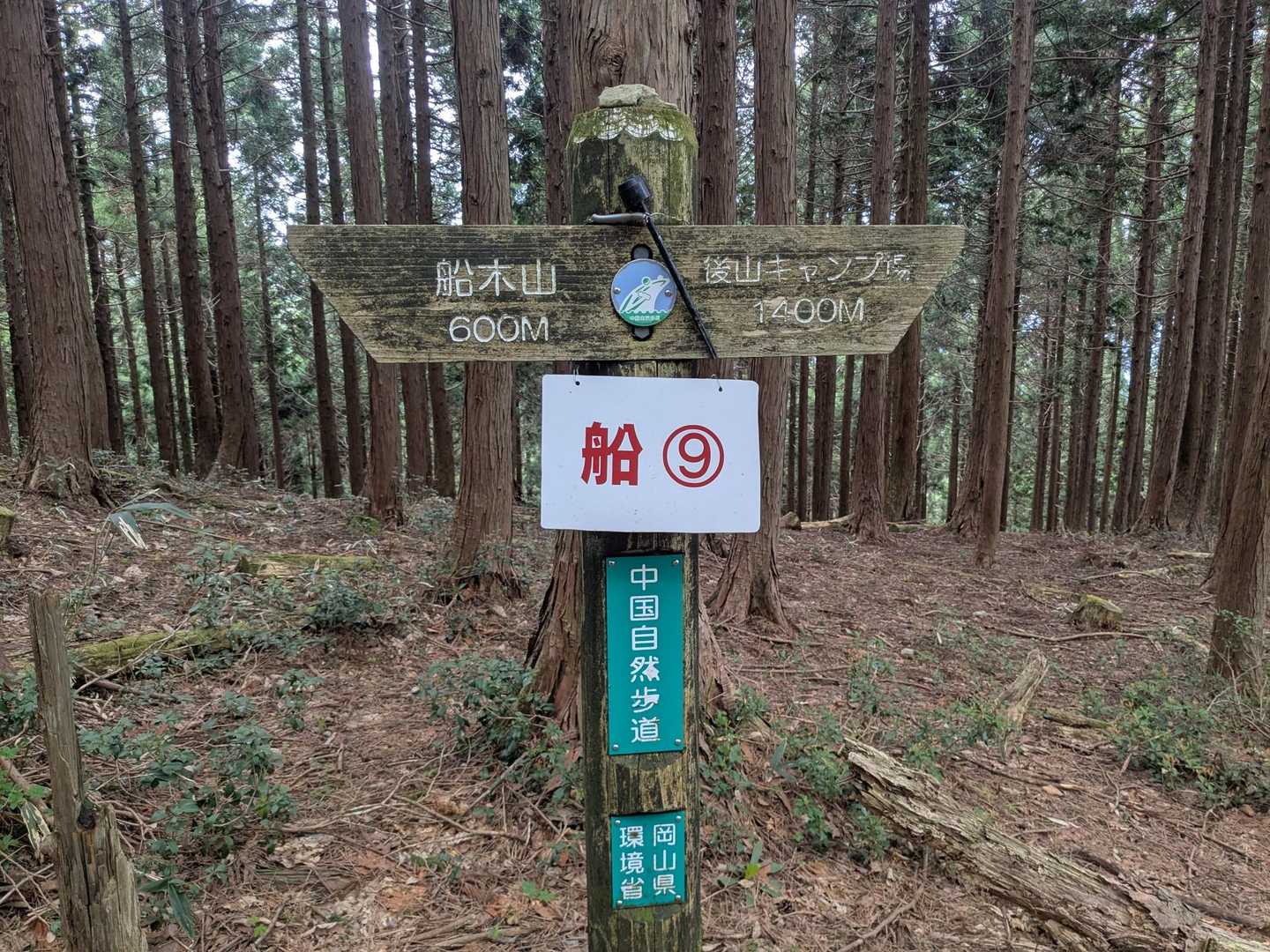 船⑨  もうすぐか？