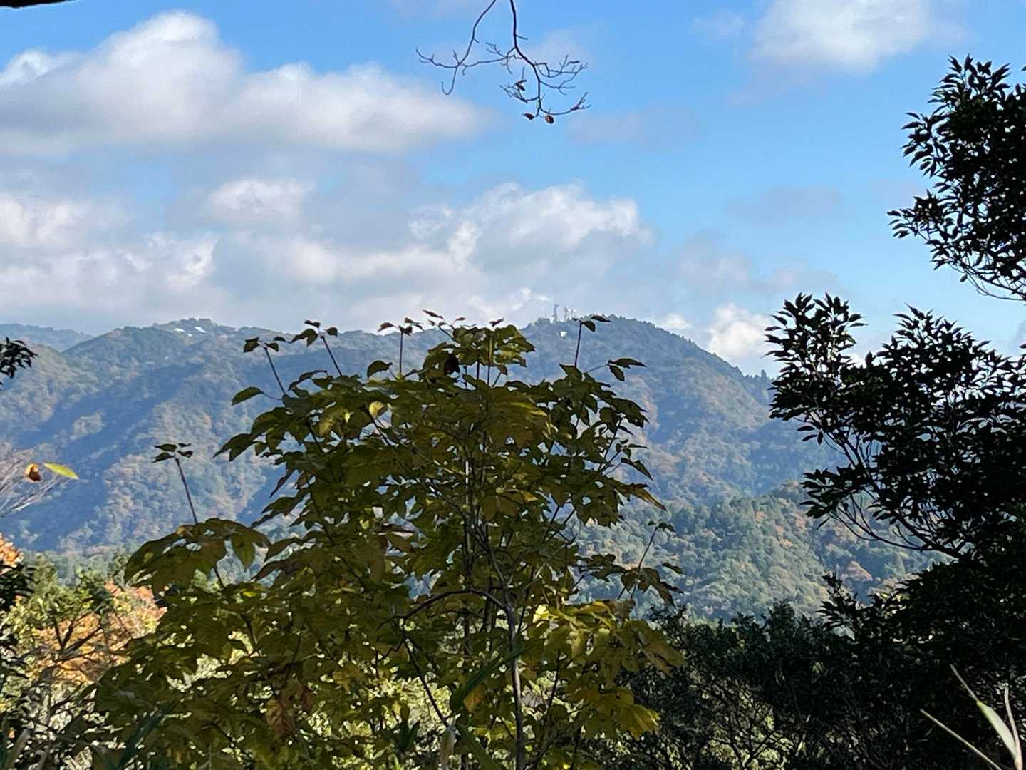 摩耶山
再度山は木が茂って見えにくい