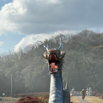 日山の途中に三郎池公園
正面からみると目が⋯ちょっと可愛い竜王丸🤭