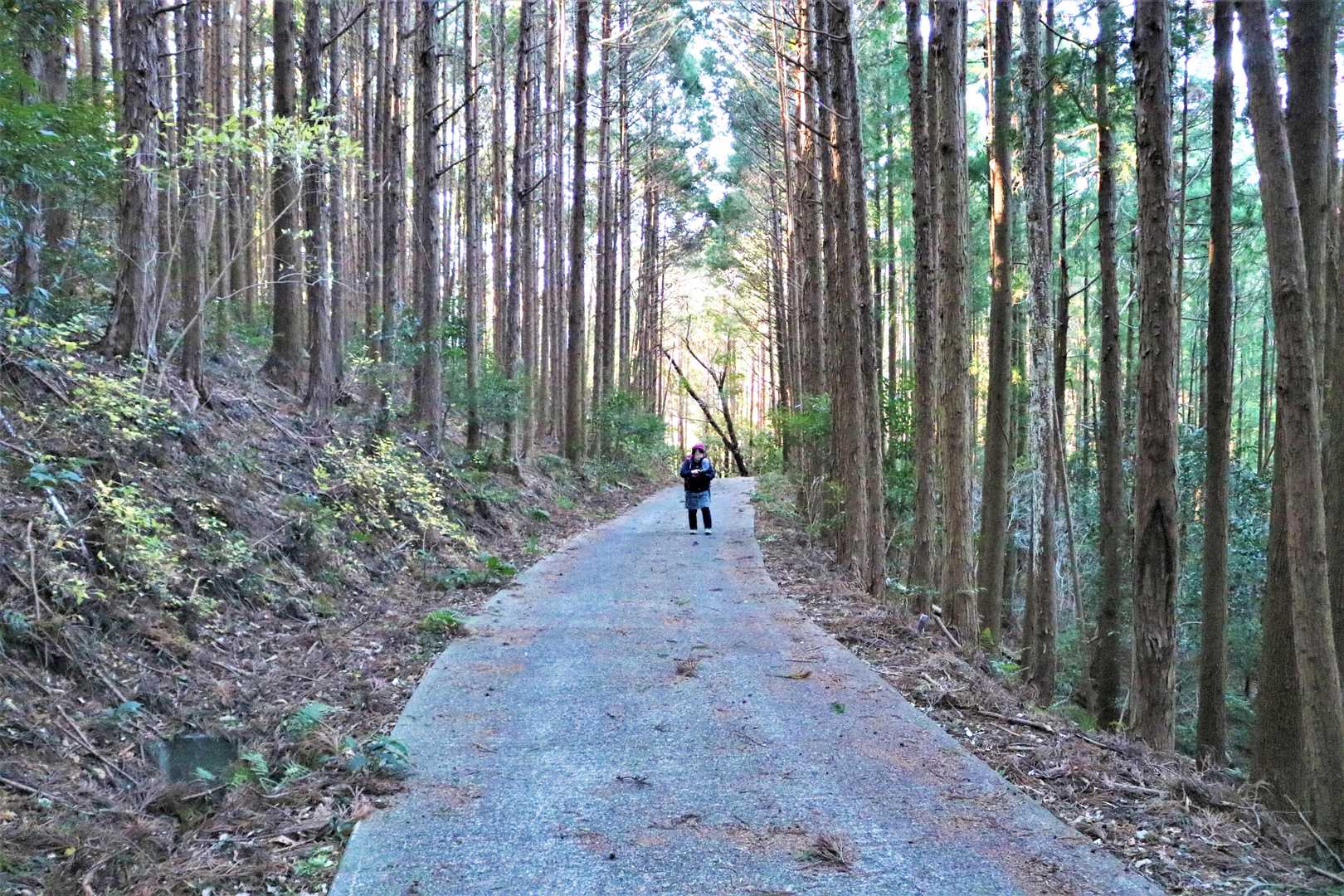 登山口までは長〜い、舗装路を行く。