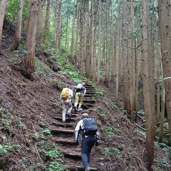 滝から離れます。