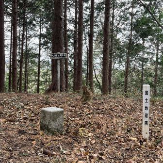 等級種別：三等三角点
基準点名：大丸（おおまる）
標高：702.03m