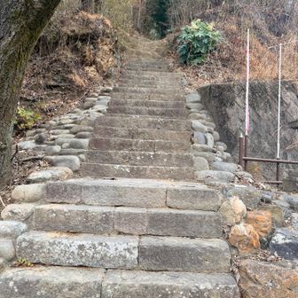 いきなり階段💦と思ったら