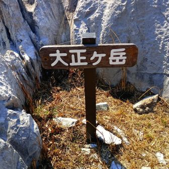 大正ヶ岳山頂