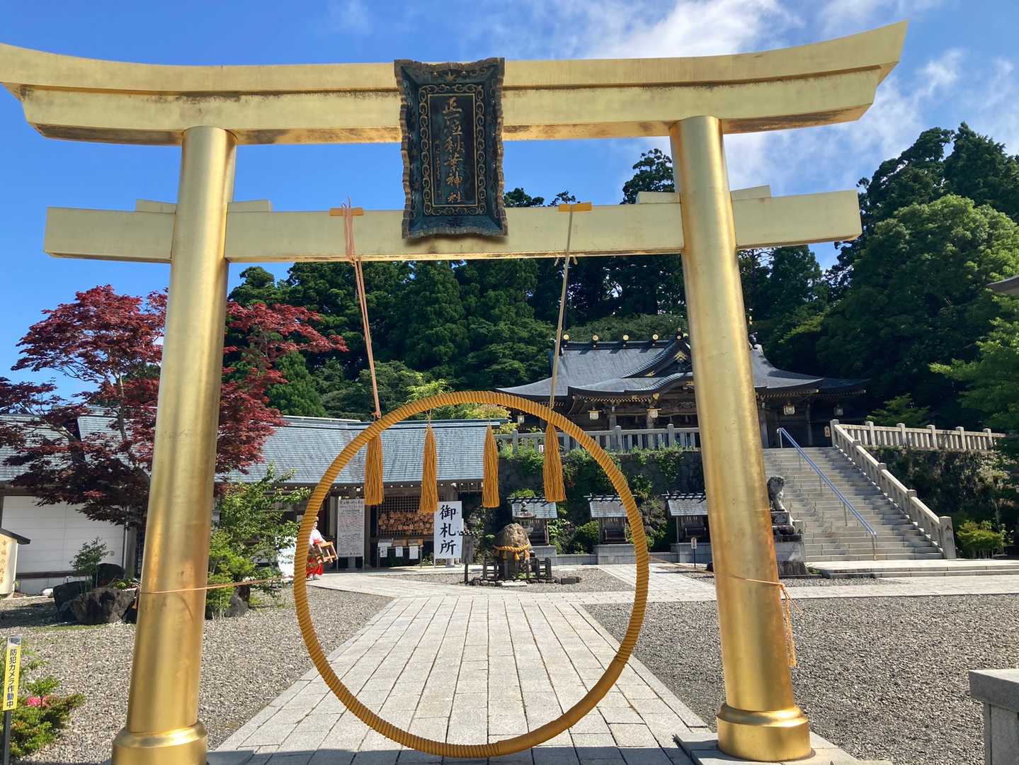 まだあるよ
茅の輪
しっかり8の字でお参り
無病息災ね！決して金運アップをお参りしないでね