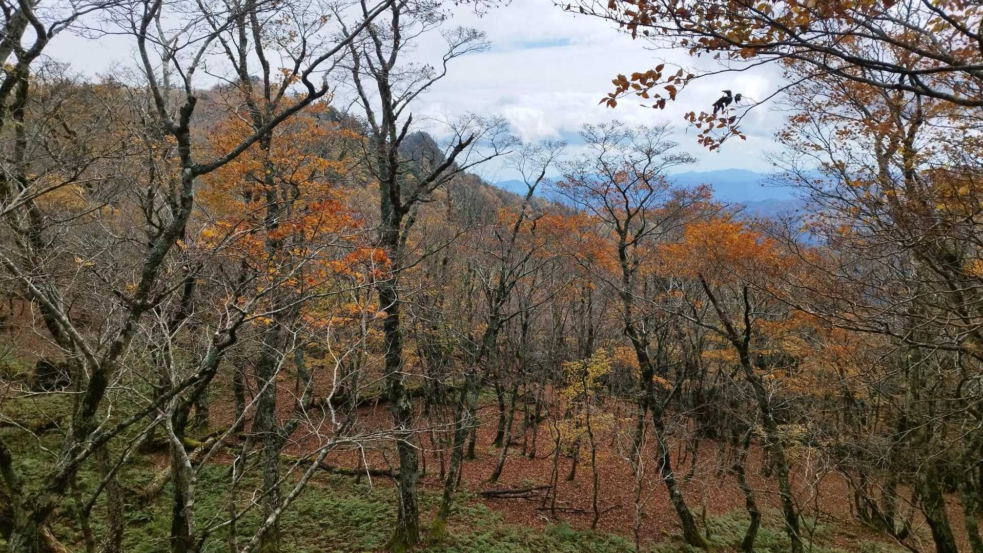 ガスが切れるのを待ちながら下山。