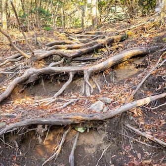 キツくて燃えてきた