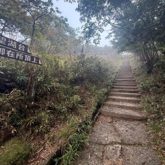 この階段を登れば…