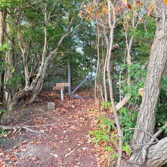 山頂奥に「中村学園正門」という標識があります。この道はみんなの軌跡はあるものの、拡大するとみんなの軌跡が消えてしまって不安定だったので、先ほどの分岐まで戻ってYAMAPルートで帰ります