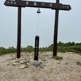 真っ白