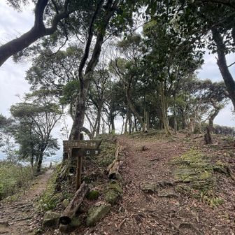 急登で汗かきながら山頂に到着！
