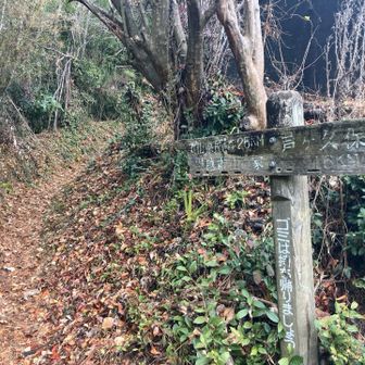 山道終了
あとは舗装路