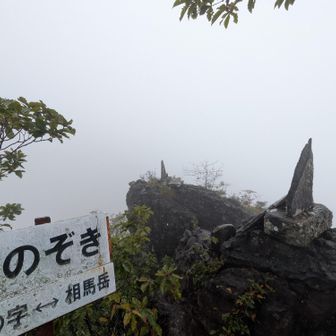 雨です。