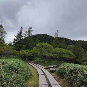 山王峠までの登りの急登きつかった😅