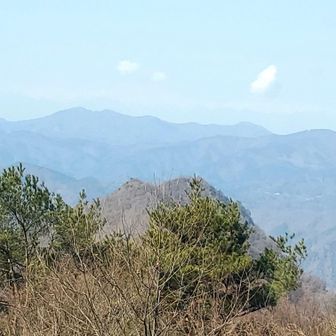 これから行く稜線
虚空蔵山まではアップダウンあり標高差累計は
1000m越えます
２人仲良く行くよ♪