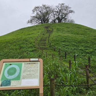 丸墓山北階段
（撮影してからYAMAP休止したのに、休止中の位置に表示）